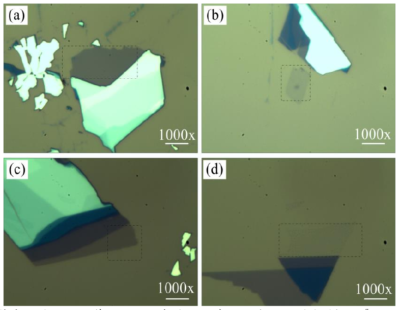 圖 3.3 低溫氧等離子體處理后單層 M o S 2 薄膜的光學顯微鏡圖。（a）樣品 1 # 的光鏡圖，（b）樣 品 2 # 處理 1 0 s 的光鏡圖，（ c）樣品 3 # 處理 2 0 s 的光鏡圖和（ d）樣品 4 # 處理 4 0 s 的光鏡圖。